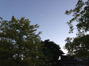 Dawn, or dusk. © Saara Punjani 2014.