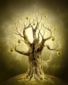 Image sourced from:  http://www.alfoart.com/golden_apple_tree_1.html