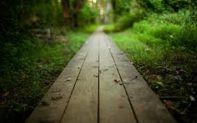 Image source: http://www.forwallpaper.com/wallpaper/nature-nature-landscape-boards-timber-path-path-road-264461.html